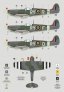 1/32 No.313 Sqn Operation Starkey decal image 2
