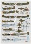 DK Decals DKD72133 49th FG Warhawk Lightning 1/72 image 1