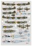 DK Decals DKD72134 49th FG Warhawk Lightning 1/72 image 1