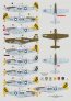 1/72 311th FG Mustangs over China decal image 1