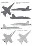 1/144 Decals F/A-18C/D Hornet in RAAF image 2
