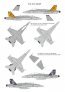 1/144 Decals F/A-18C/D Hornet in RAAF image 3