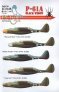 1/32 Northrop P-61A Black Widows