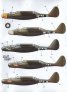 1/72 Northrop P-61A Black Widow.Borrowed Time image 1