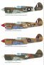 1/48 P-40E Warhawk DUAL COMBO (ROYAL CLASS) image 4
