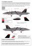 1/48 Boeing F/A-18D Hornets 20 years Royal Malaysian Air Force image 2