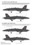 1/72 Boeing F/A-18D Hornets 20 years Royal Malaysian Air Force image 1