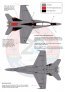 1/72 Boeing F/A-18D Hornets 20 years Royal Malaysian Air Force image 2