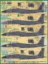 1/48 McDonnell F-15E Eagles at War 4th Fighter Wing Drone Killer image 1