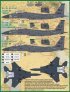 1/48 McDonnell F-15E Eagles at War 4th Fighter Wing Drone Killer image 3