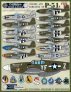 1/48 Colors & Marking of North-American P-51s Part I