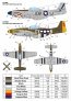 1/48 P-51 Mustang Nose art, Part 1 without stencils image 3