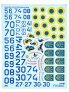 1/48 Ukrainian Su-27 and Su-27UB geometric camouflage & Stencils image 4
