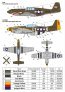 1/72 North-American P-51 Mustang Nose art, Part 3 image 5