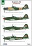 1/72 Ilyushin Il-10 Russian service image 1