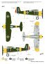Azur 1/72 PZL P.24 Over Danube Maquette Avion image 2
