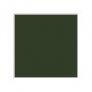 H036 Dark Green (gloss) image 1