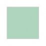 H041 Pale Green  Vert pale G image 1