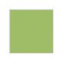 H050 Lime Green  Vert citron (G) image 1