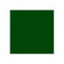 H060 IJA Green  Vert IJA (SG) image 1