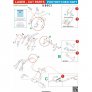 HGW Ceintures de s�curit� Spitfire Laser 1/48 image 1