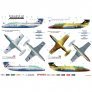 1/48 Decals L-29 Delfn image 1