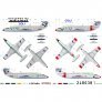 1/48 Decals & stencils L-29 Delfn image 1