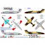 1/48 Decals & stencils L-29 Delfn image 2