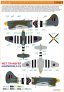 1/48 Decals & Stencils Tempest MK.V Series 1 image 7