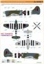 1/48 Decals & Stencils Tempest MK.V Series 1 image 9