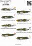 1/72 Republic P-47D Thunderbolt Razorback Over New Guinea image 1