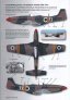 Isradecal P-51D Mustang IAF 1/32 Decals image 3
