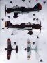 1/72 PZL.23B Karas in Romanian Service image 2