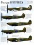 1/48 Pre-War Supermarine Spitfire