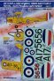1/48 de Havilland DH.82A Tiger Moth Mk.II (RAAF) part I