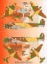 1/72 Decals Fiat BR.20 Type I (over China) Part II image 1