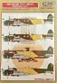 1/48 Decals Fiat BR.20 Ruth over China Part I