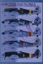 1/72 Focke-Wulf Fw 190A-9 image 1