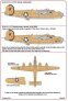 1/48 Scale Consolidated B-24D 343 Bs 98 Bg Co 41-23795 Sneezy image 1