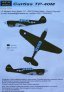 1/72 Curtiss TP-40M Conversion Set w/ decals (HAS) image 2