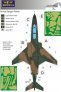 1/48 Mask RF-101B Voodoo ANG Camouflage painting