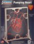 1/1 Pumping Heart