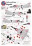 1/48 Mirage IIIS Holloman decals image 2