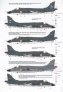 1/48 BAe Sea Harrier FRS.1 image 1