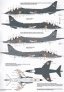 1/48 BAe Sea Harrier FRS.1 image 6