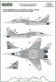 1/48 Mikoyan MiG-29 Heroes of Kosciuszko New paint scheme part 2 image 1