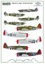 1/72 Boleslaw Mike Gladych planes