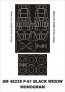 Montex Lackiermaske P-61 Black Widow 1/48
