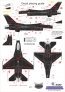 1/32 64TH Aggressors F-16 Wraith PAINT image 3