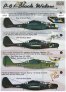 1/48 P-61 Black Widow Part 1 (wet decals)